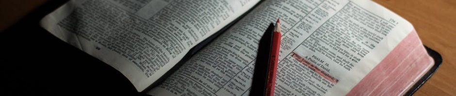 Scripture Memory: Exciting Update & Encouragement